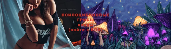 стаф Алексин