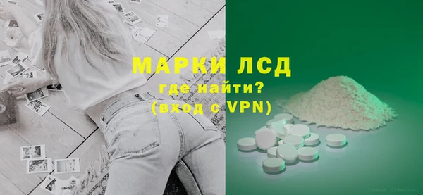 стаф Алексин