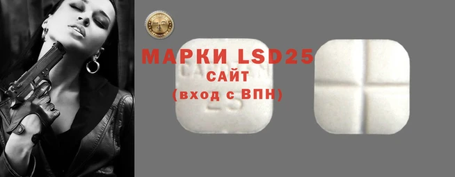 стаф Алексин