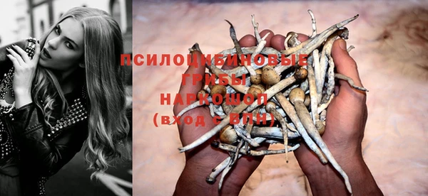 гидропоника Алзамай