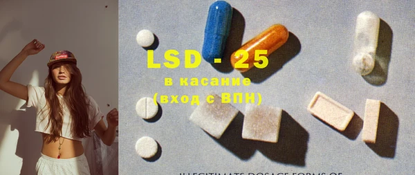 сатива Гатчина